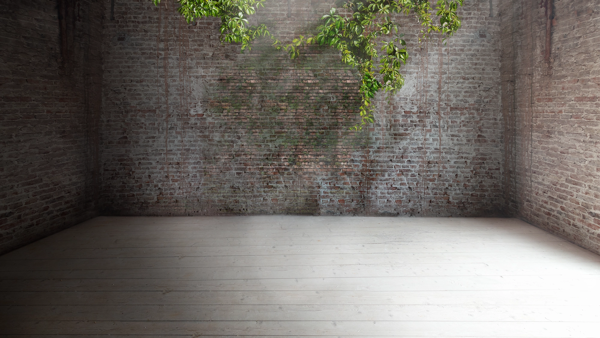 Achtergrond bespiegelingen